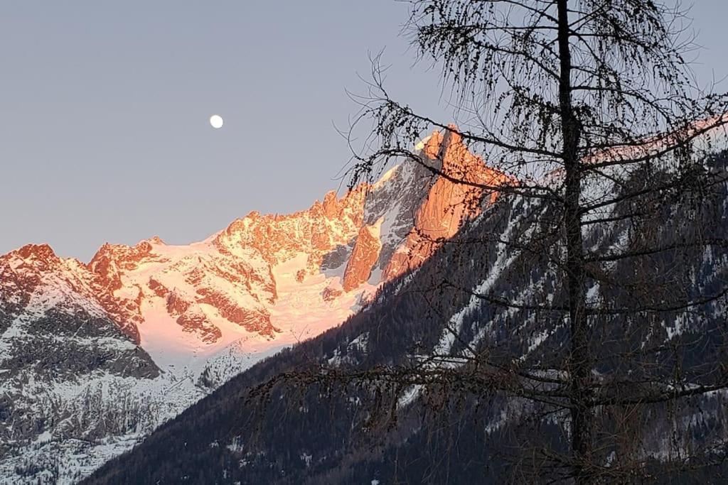 Bel Appartement Entier En Style Chalet A Chamonix Ngoại thất bức ảnh